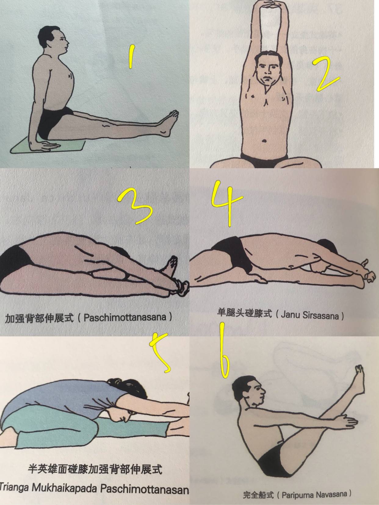 基本瑜伽动作（瑜伽基础体式盘点）-第7张图片