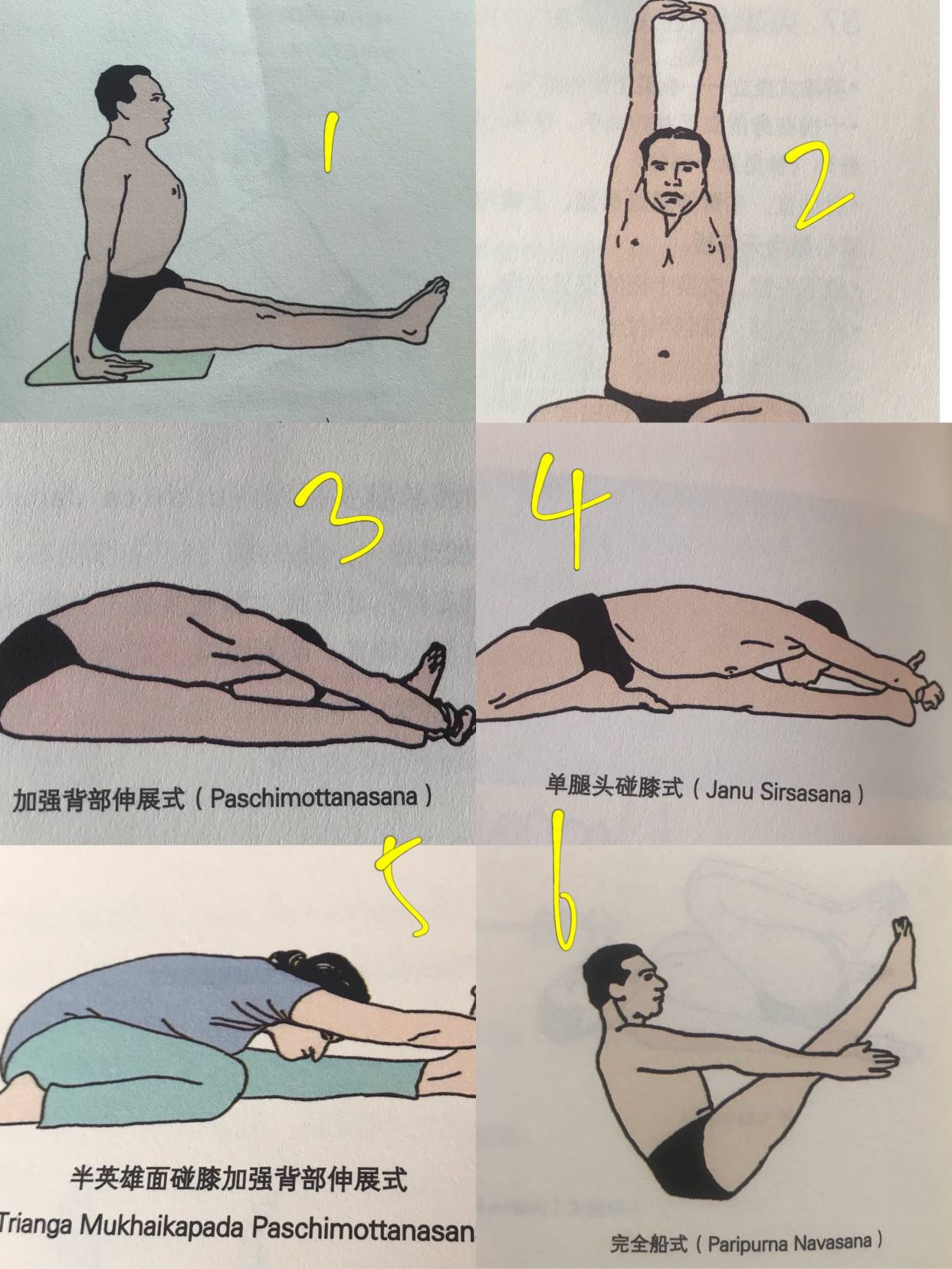 基本瑜伽动作（瑜伽基础体式盘点）-第7张图片