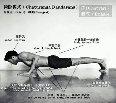 基本瑜伽动作（瑜伽基础体式盘点）-第9张图片