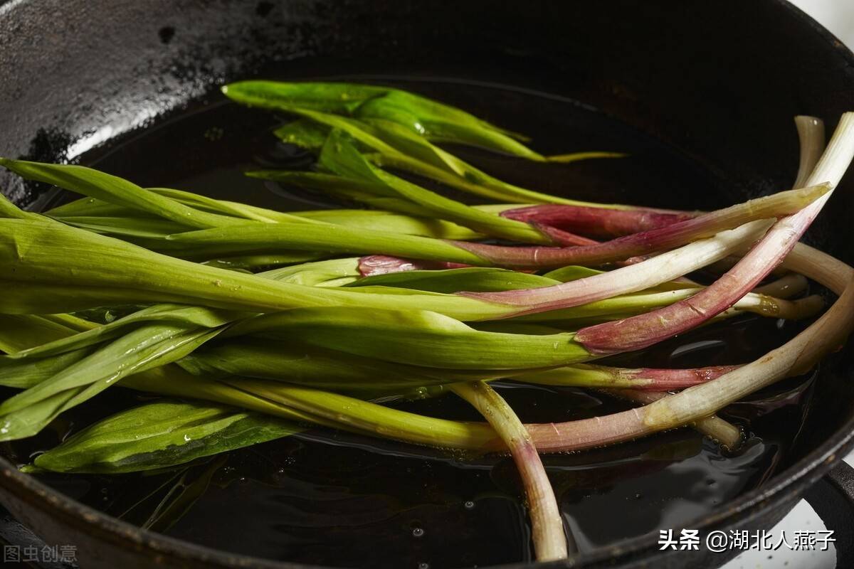 野菜大全（春天里31种野菜大图片）-第1张图片