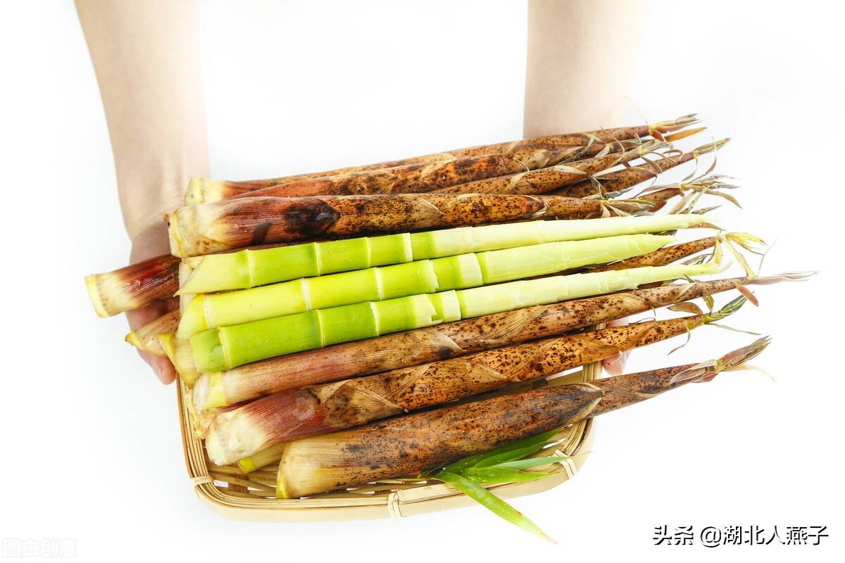 野菜大全（春天里31种野菜大图片）-第4张图片