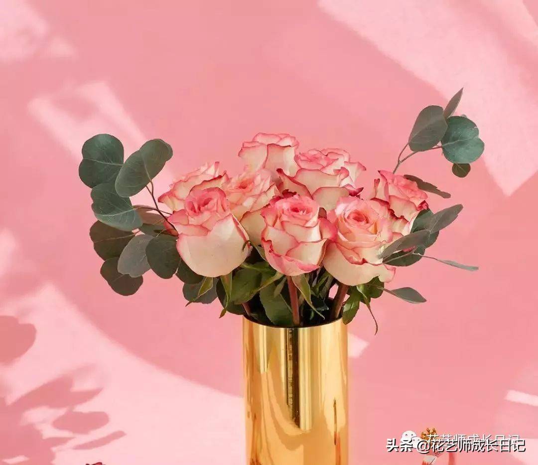 粉色玫瑰（10款粉色玫瑰品种介绍）-第8张图片