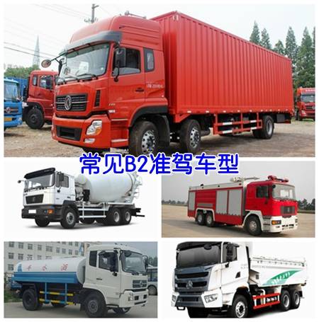 b2驾驶证能开什么车（驾驶证B照可以开什么车）-第3张图片