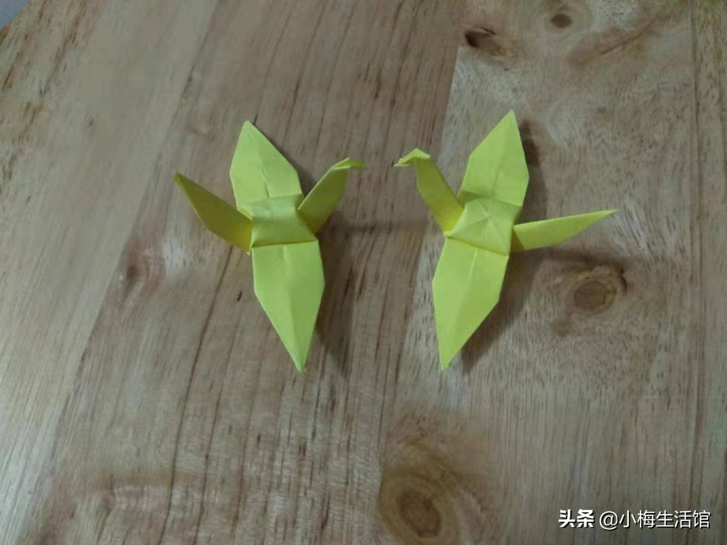 纸鹤的折法（千纸鹤折法及步骤图解）-第1张图片