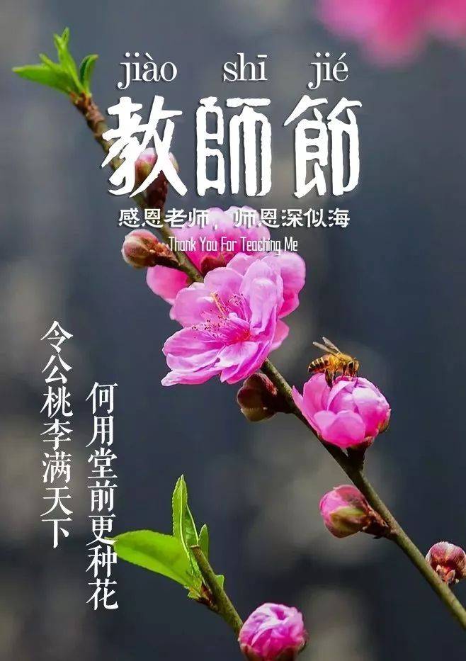 赞扬老师的句子（那些赞美老师的诗句）-第3张图片