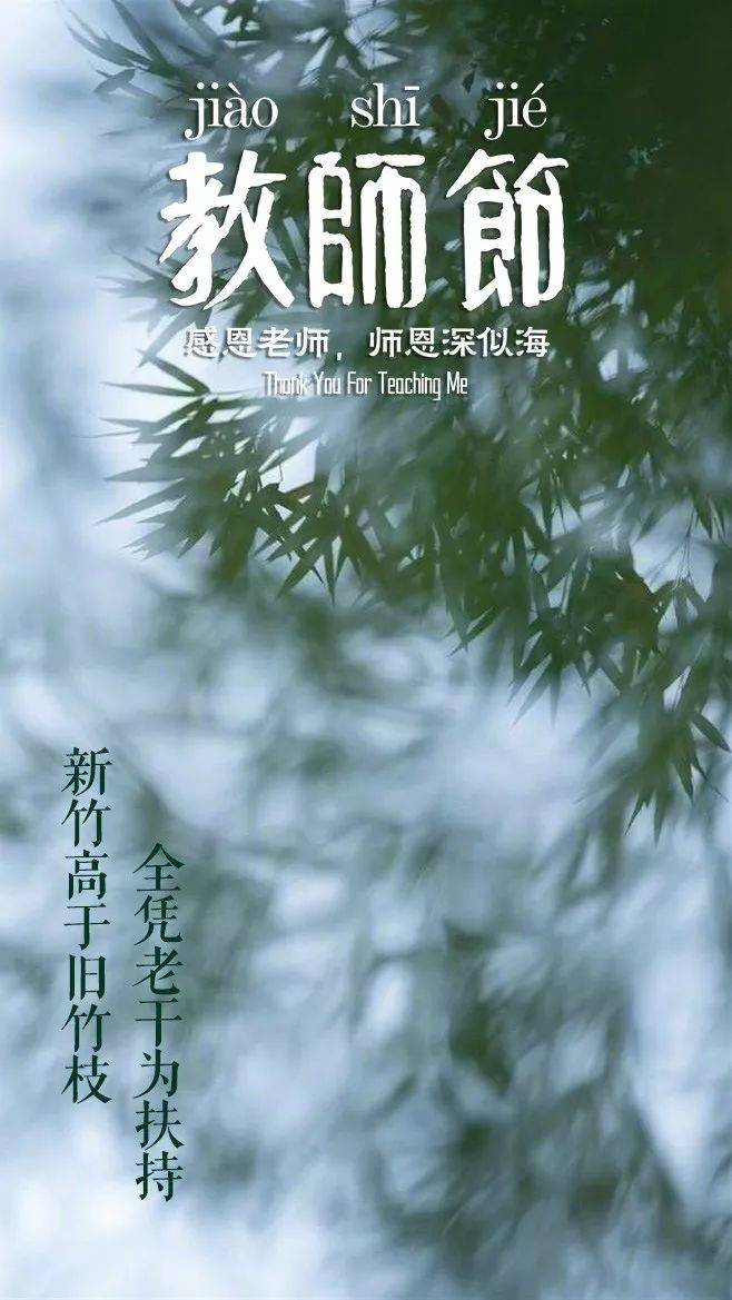 赞扬老师的句子（那些赞美老师的诗句）-第15张图片