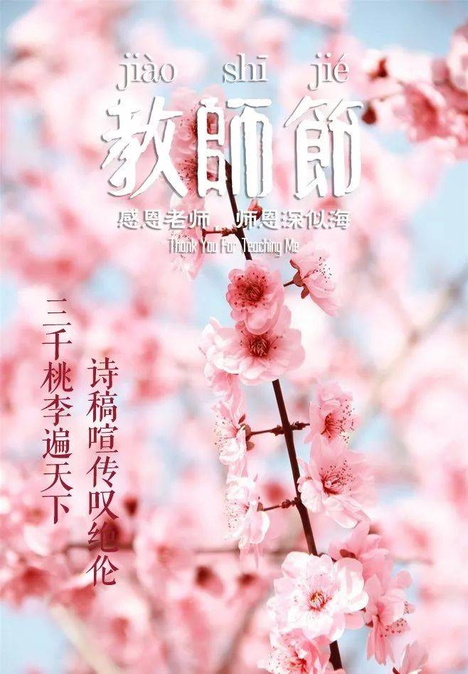 赞扬老师的句子（那些赞美老师的诗句）-第19张图片