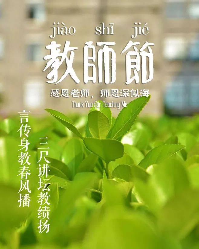 赞扬老师的句子（那些赞美老师的诗句）-第21张图片
