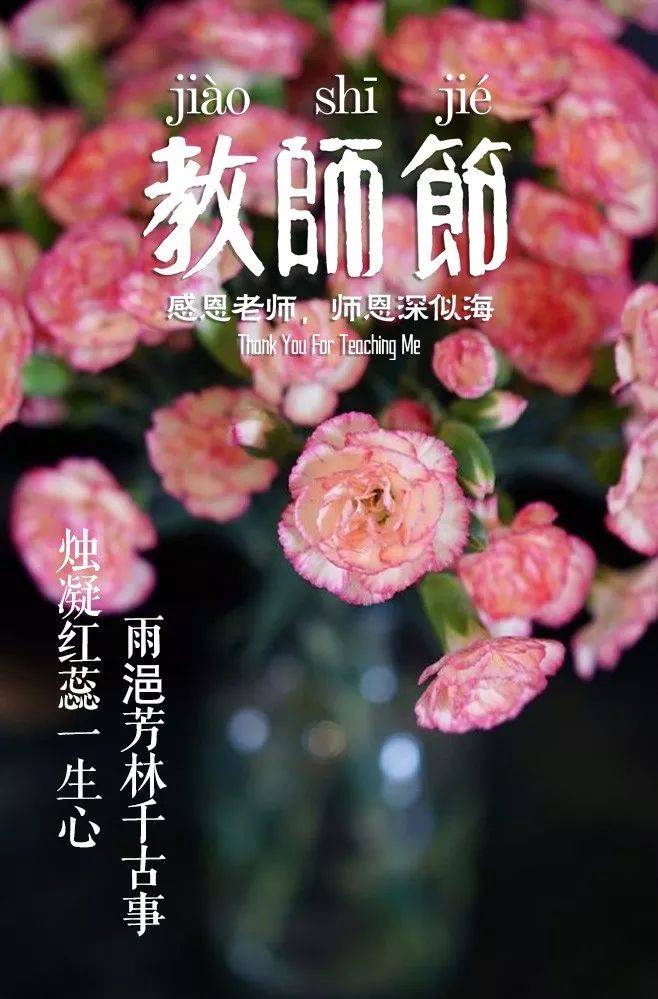 赞扬老师的句子（那些赞美老师的诗句）-第23张图片