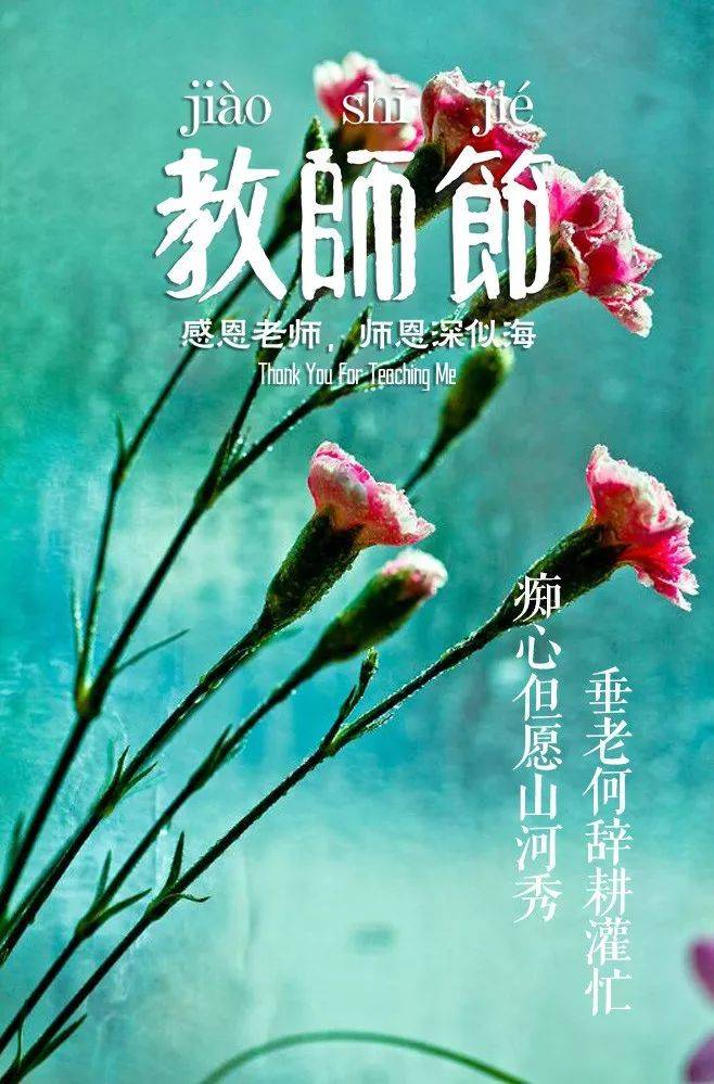 赞扬老师的句子（那些赞美老师的诗句）-第26张图片