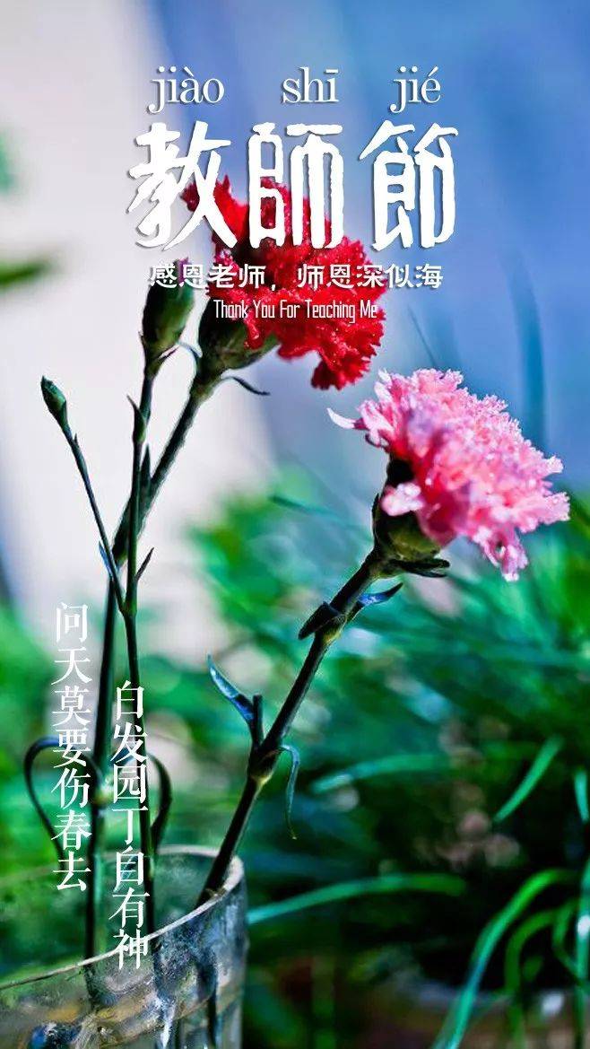 赞扬老师的句子（那些赞美老师的诗句）-第25张图片