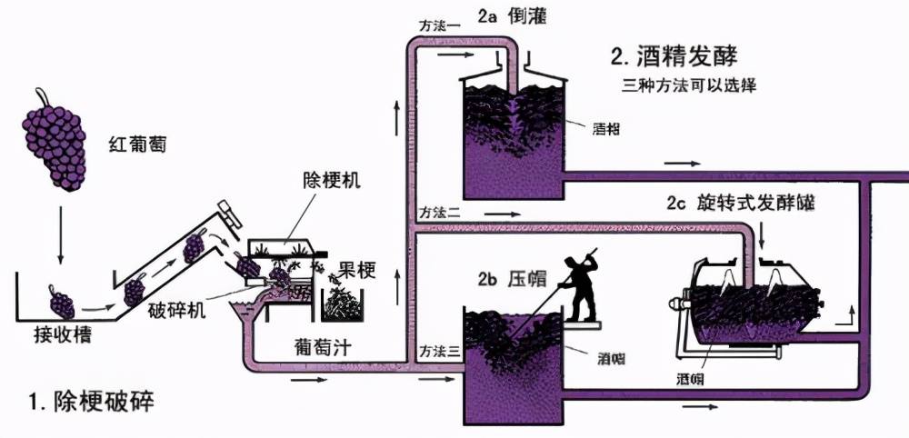 红葡萄酒的酿制方法（红葡萄酒是如何酿造的）-第31张图片