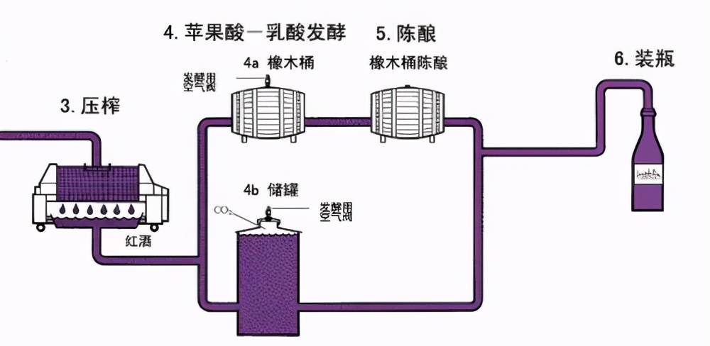 红葡萄酒的酿制方法（红葡萄酒是如何酿造的）-第32张图片