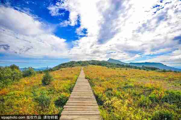 郊区旅游（北京郊区最美旅行地！）-第5张图片