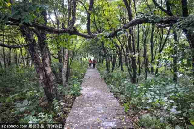 郊区旅游（北京郊区最美旅行地！）-第6张图片