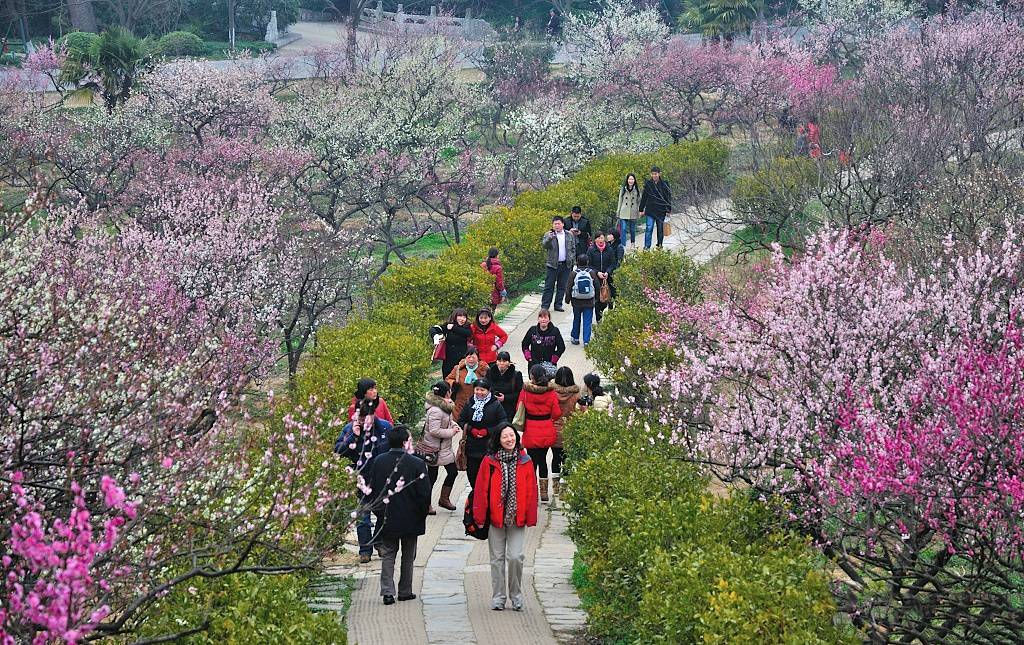 南京好玩的地方（南京旅游必打卡的景点）-第8张图片