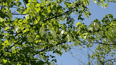 成都一日游（成都附近17个最适合一日游的景点）-第21张图片