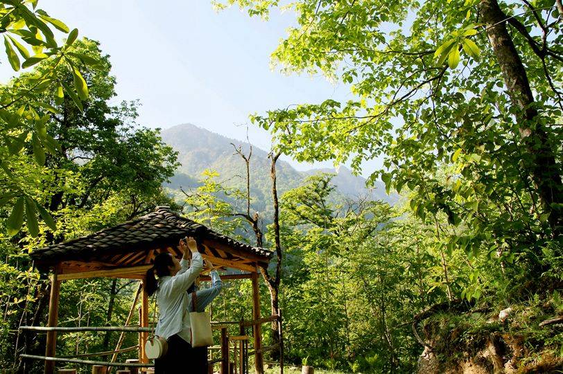 成都一日游（成都附近17个最适合一日游的景点）-第23张图片