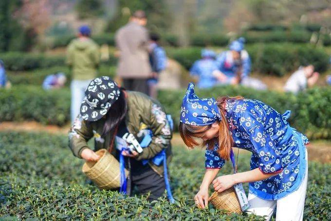 成都一日游（成都附近17个最适合一日游的景点）-第61张图片