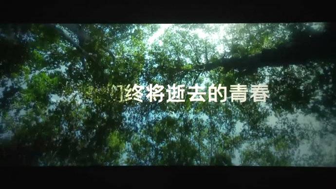 致我们终将逝去的青春台词(致我们终将逝去的青春经典语录)-第5张图片 致我们终将逝去的青春台词(致我们终将逝去的青春经典语录)-第5张图片
