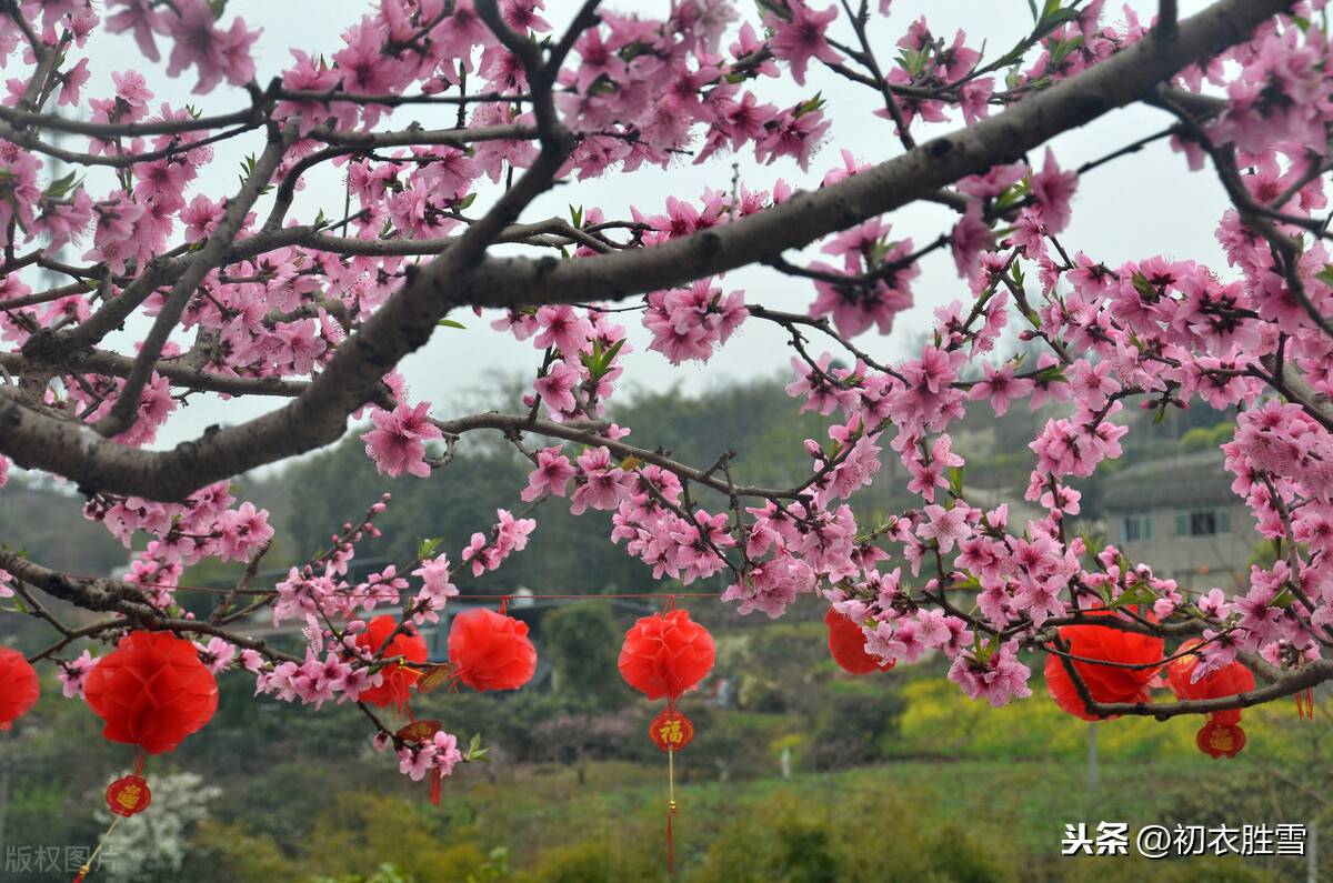 贺新年的诗句大全 （新年新春祝福诗词五首）-第1张图片