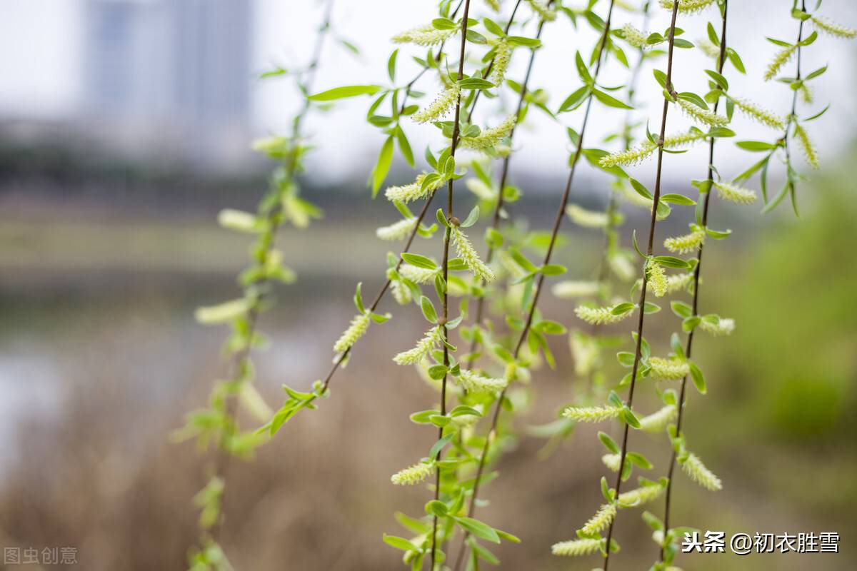 贺新年的诗句大全 （新年新春祝福诗词五首）-第3张图片