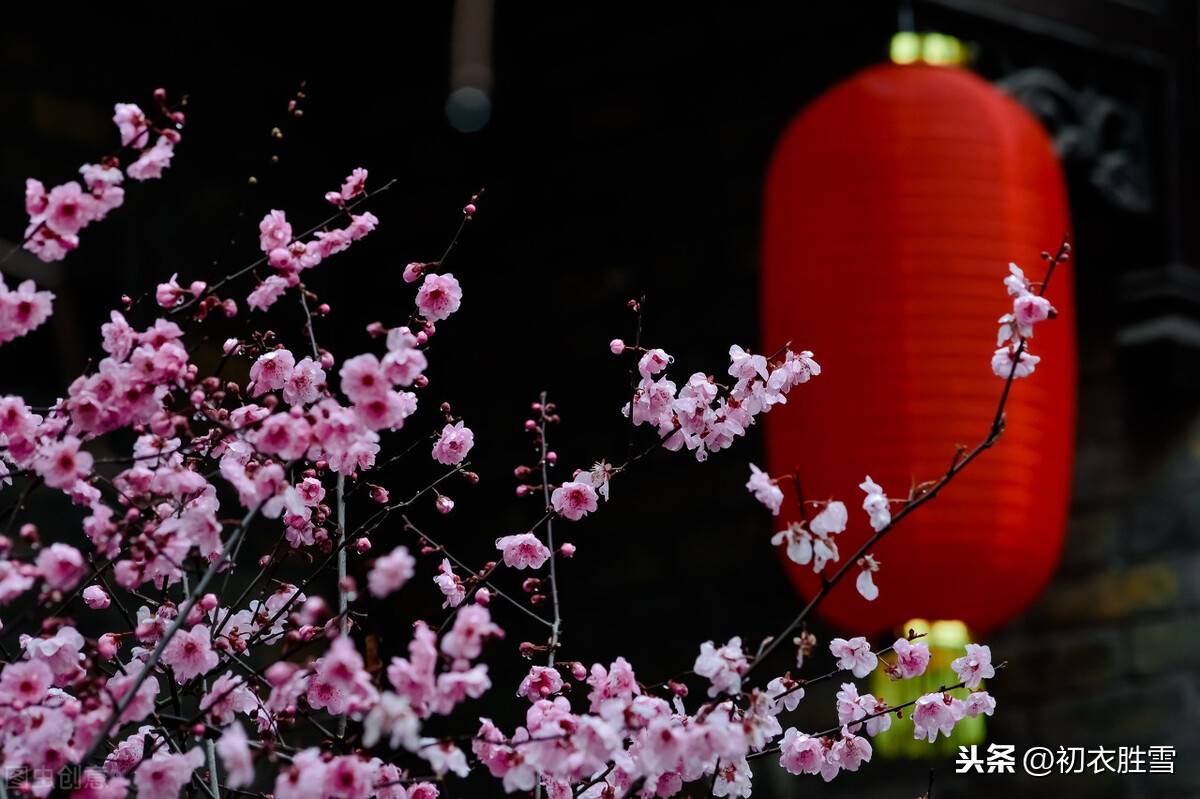 贺新年的诗句大全 （新年新春祝福诗词五首）-第4张图片