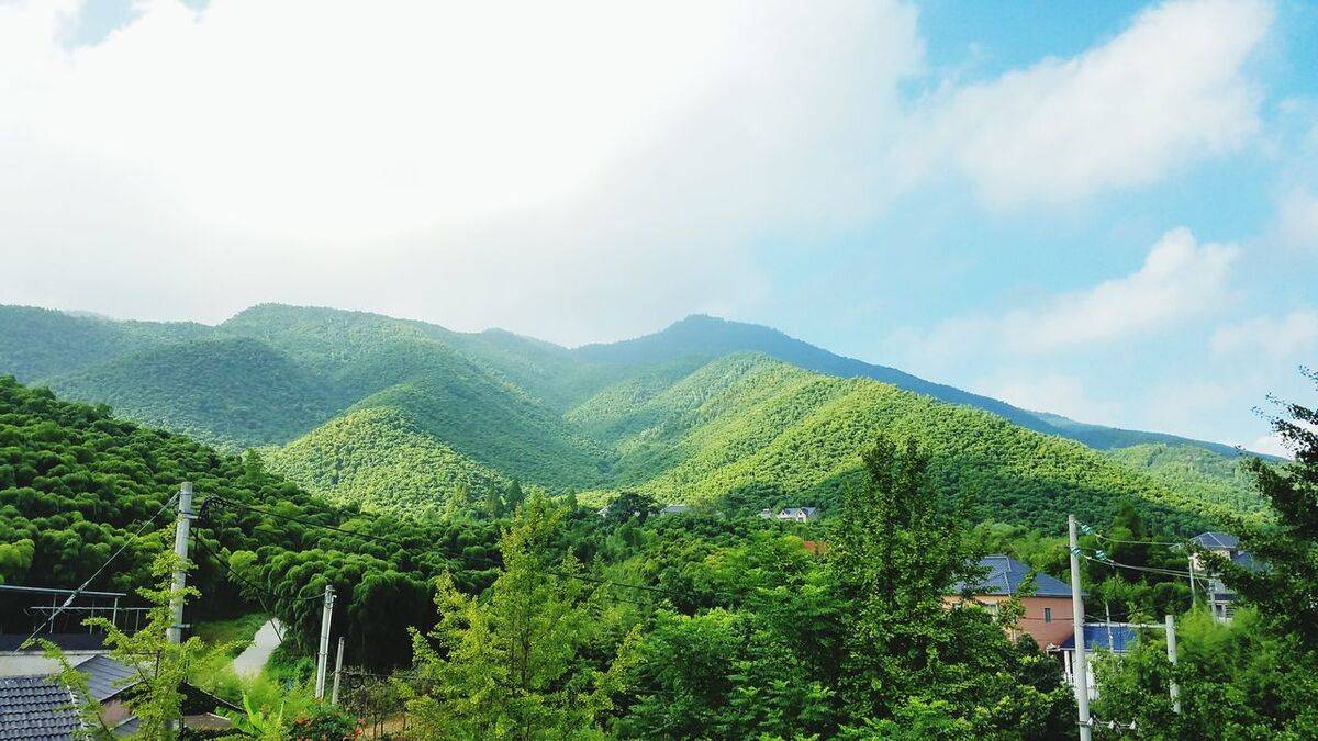 莫干山风景区（莫干山旅游攻略两日游）-第6张图片