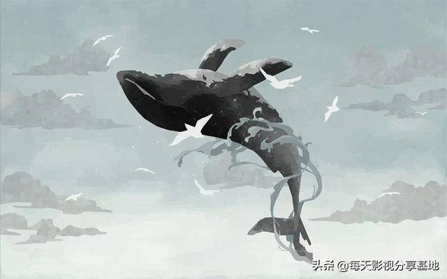 鲸落的唯美句子（整理鲸落唯美的句子）-第1张图片