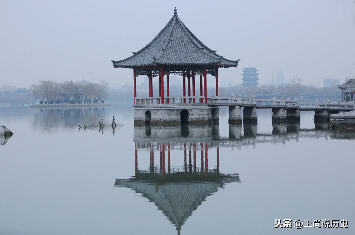 魏国夫人（魏国夫人怎么死的）-第4张图片