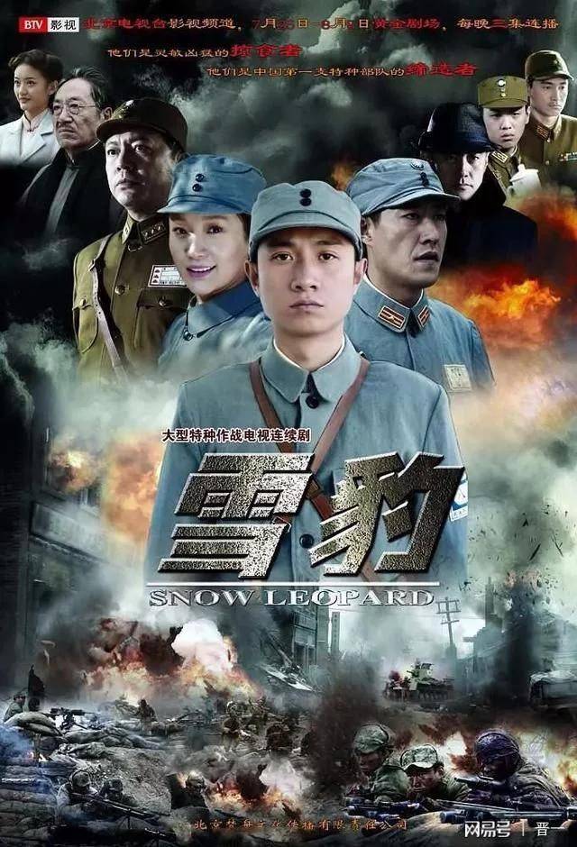 抗战电视剧排行榜（十大经典国产抗战电视剧）-第3张图片