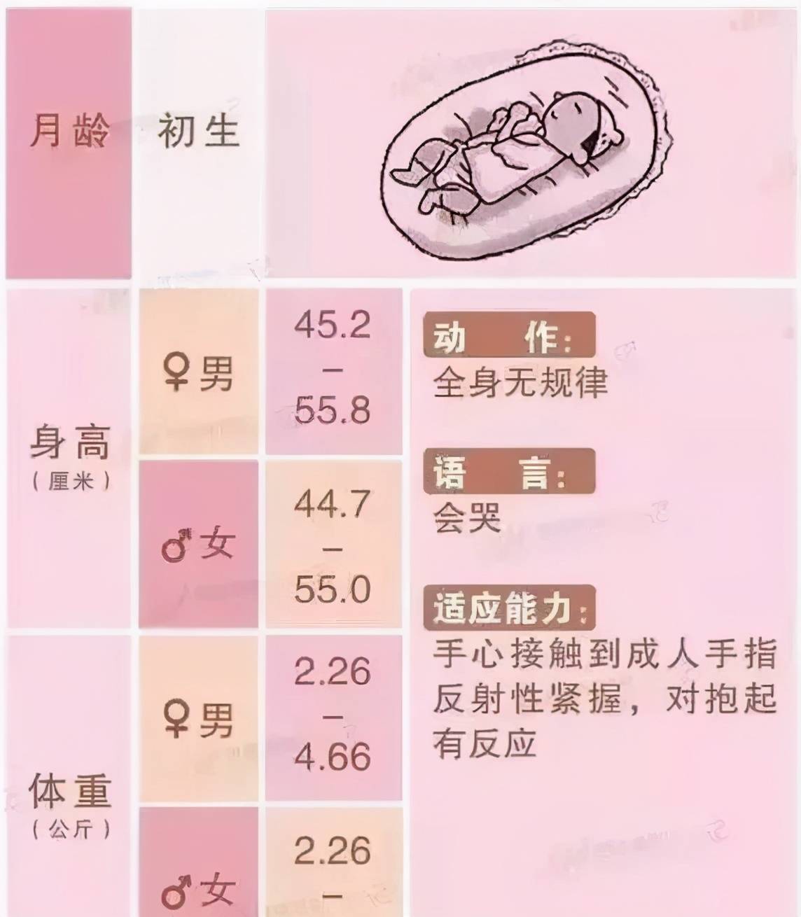 三个月婴儿护理（刚出生到3个月大的宝宝如何护理？）-第1张图片