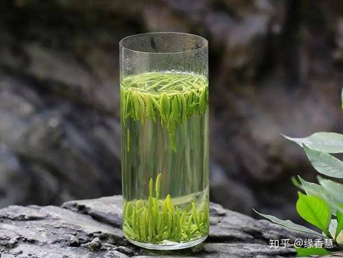 蒙顶茶是什么茶 ?(茶知识百科:蒙顶茶)-第2张图片 蒙顶茶是什么茶 ?(茶知识百科:蒙顶茶)-第2张图片