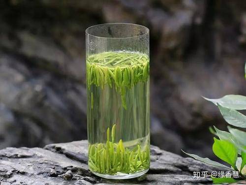 蒙顶茶是什么茶 ？（茶知识百科：蒙顶茶）-第2张图片