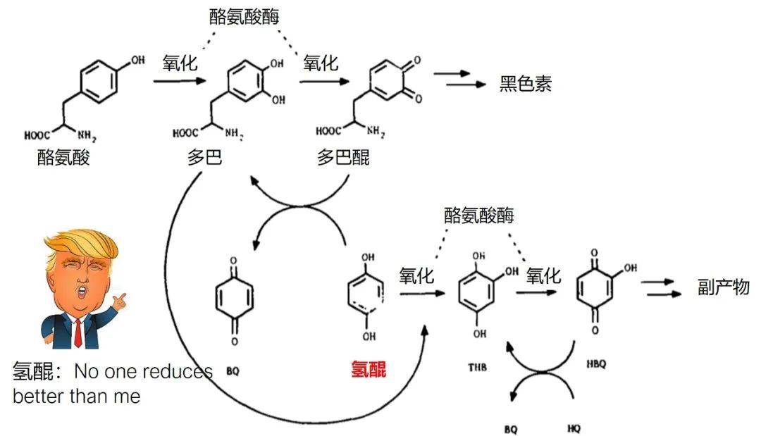 美白小秘方（送你一份美白秘方）-第4张图片