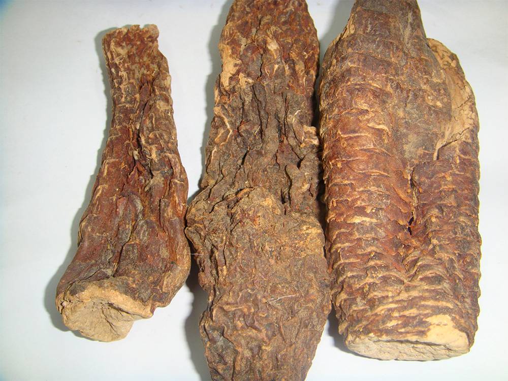 肉苁蓉泡水(肉苁蓉的功效和作用)-第5张图片 肉苁蓉泡水(肉苁蓉的功效和作用)-第5张图片