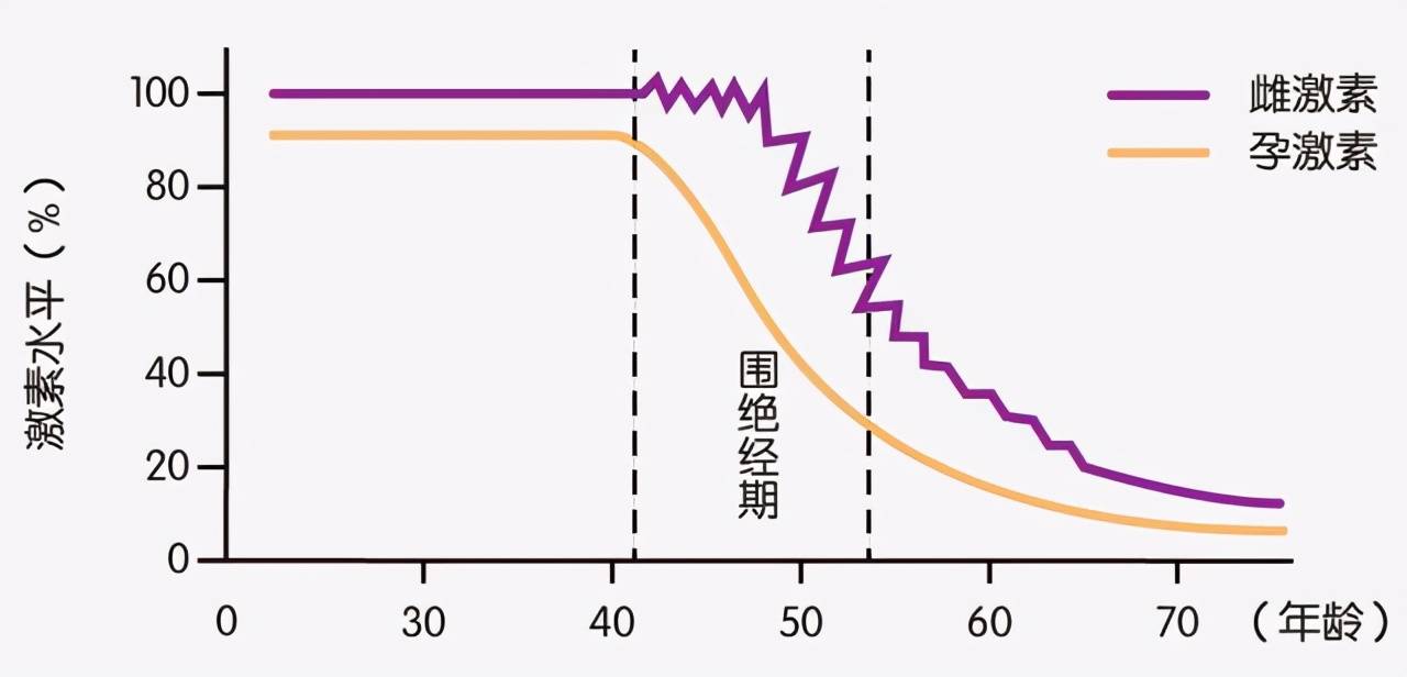 更年期年龄是多少？（女性多少岁开始进入更年期？）-第5张图片