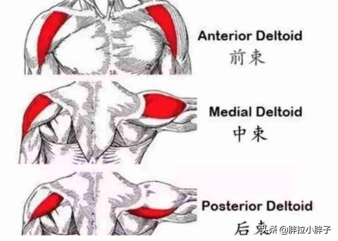 家中健身方法（你要的家庭健身方法都在这里了）-第14张图片