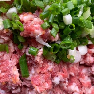 羊肉饺子的做法(羊肉饺子这样做)-第3张图片 羊肉饺子的做法(羊肉饺子这样做)-第3张图片