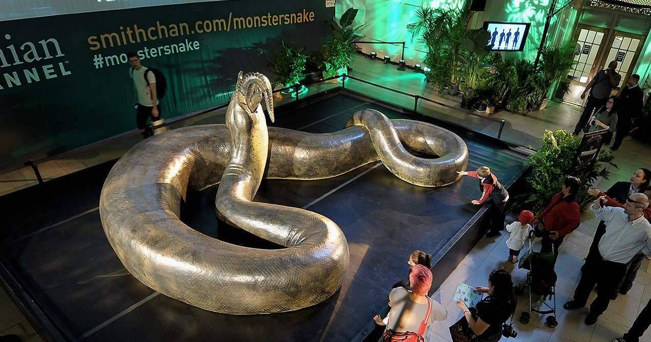 世界上最长的蛇（有记录以来世界上现存最大的蛇是什么？）-第1张图片