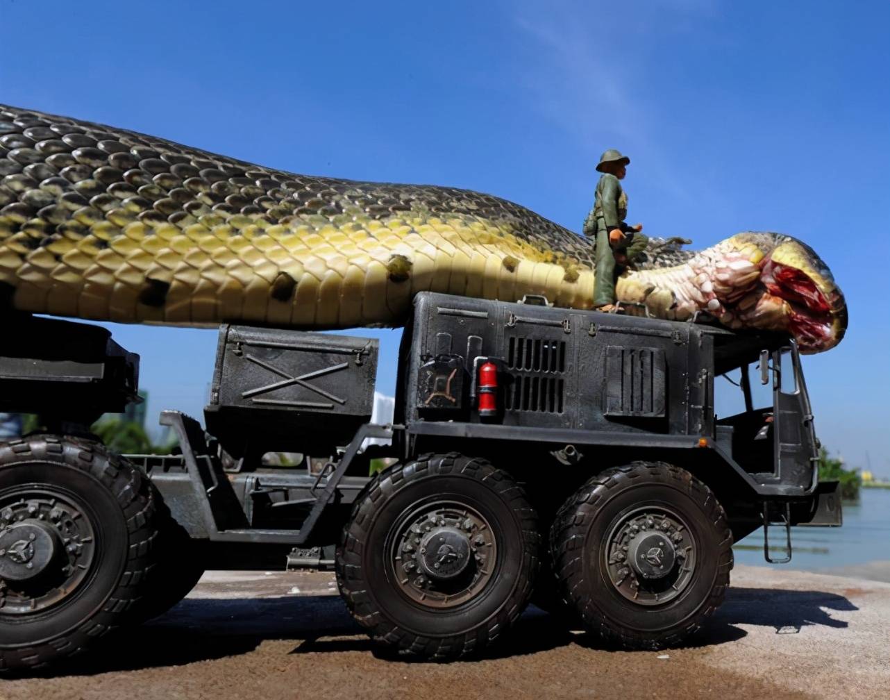世界上最长的蛇（有记录以来世界上现存最大的蛇是什么？）-第7张图片