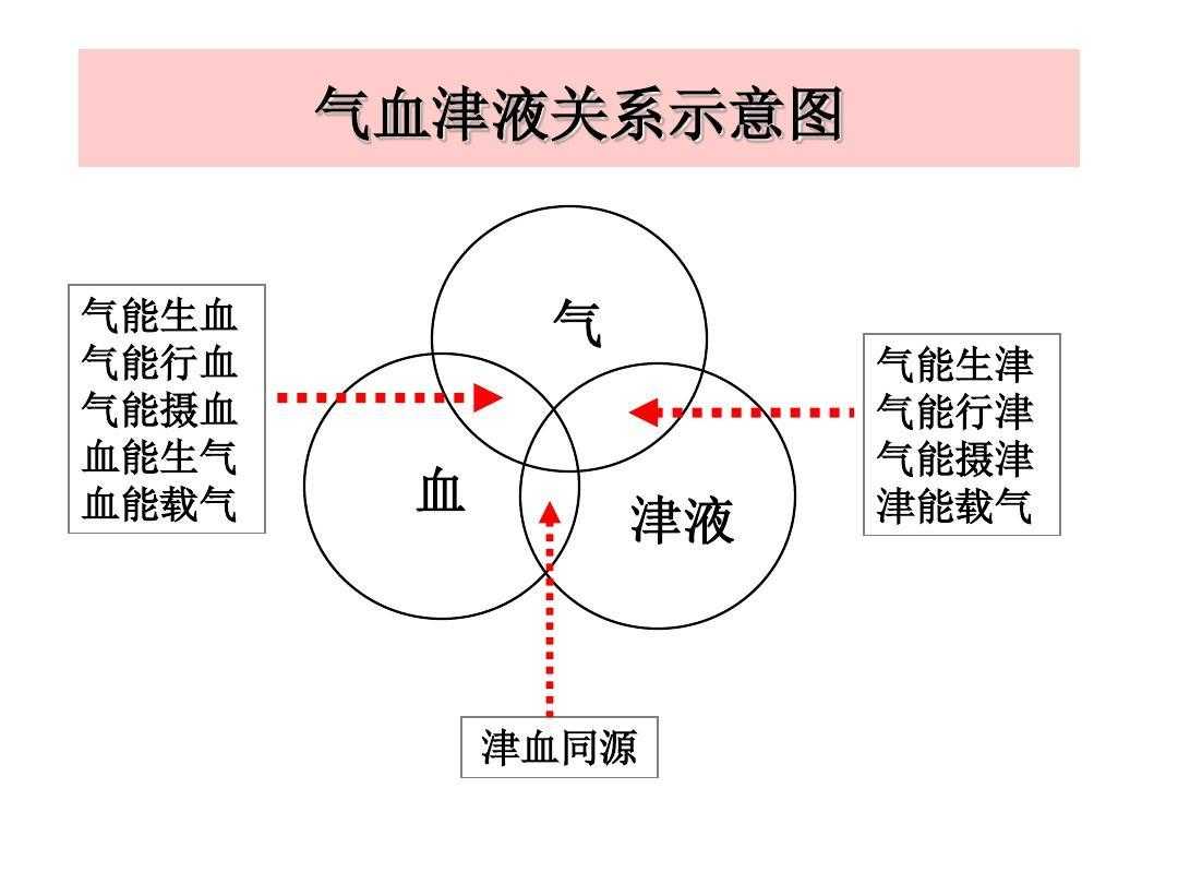 治疗掉头发吃什么药？（中医中药治疗脱发）-第3张图片