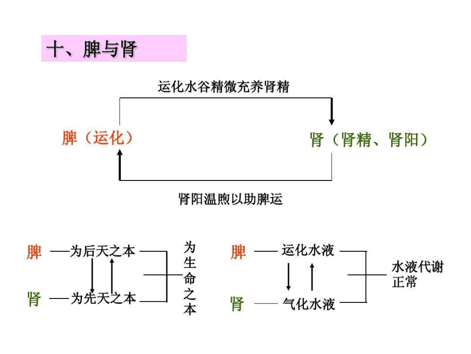 治疗掉头发吃什么药？（中医中药治疗脱发）-第4张图片