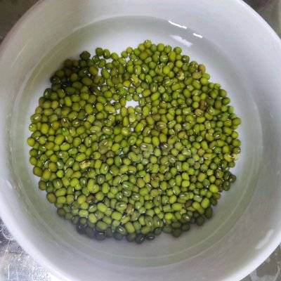 发豆芽的过程(超简单的自发绿豆芽)-第2张图片 发豆芽的过程(超简单的自发绿豆芽)-第2张图片
