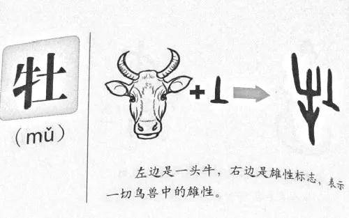 汉字的起源和来历（汉字起源的传说）-第10张图片