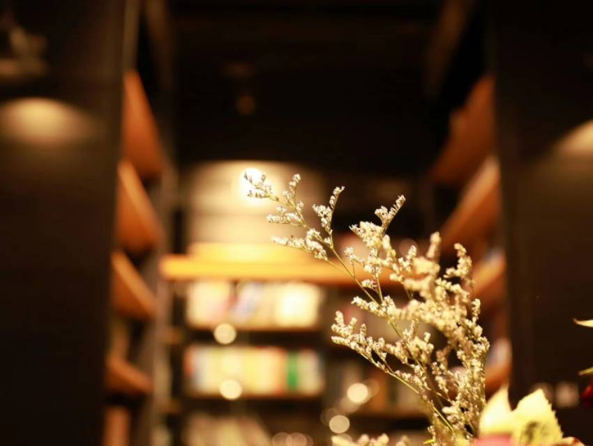 美味英文怎么说(关于美味的英文说法)-第2张图片 美味英文怎么说(关于美味的英文说法)-第2张图片
