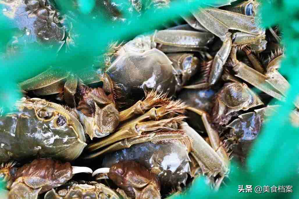 螃蟹公母怎么分（渔民教你如何区分螃蟹公母的方法）-第2张图片