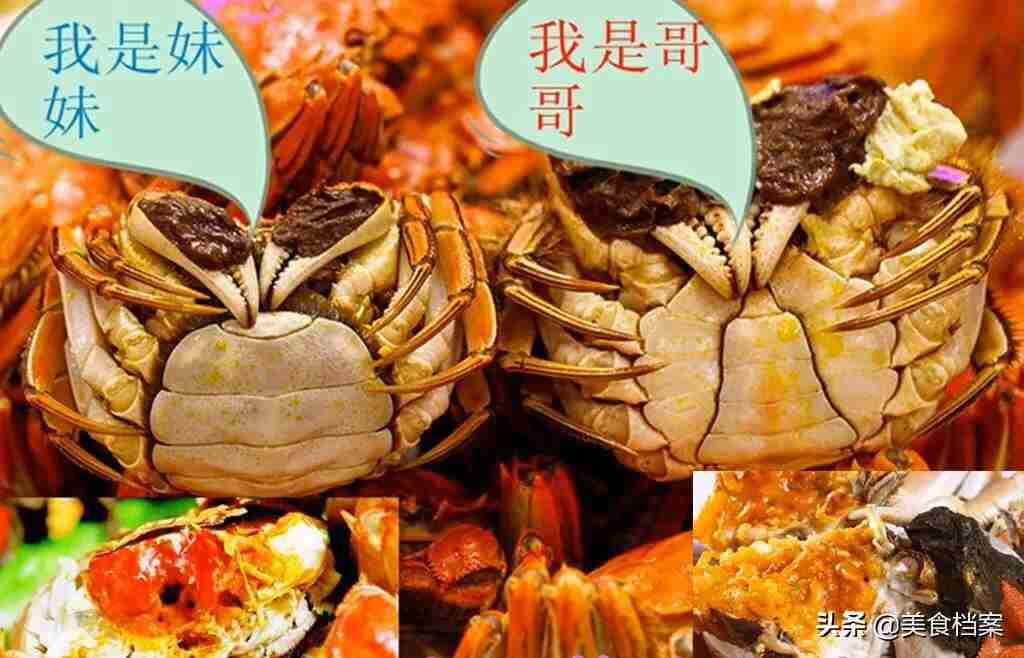 螃蟹公母怎么分（渔民教你如何区分螃蟹公母的方法）-第6张图片