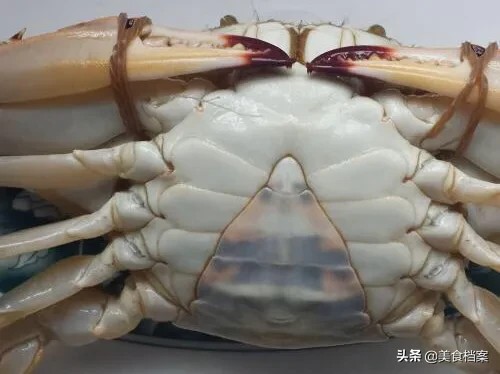 螃蟹公母怎么分（渔民教你如何区分螃蟹公母的方法）-第8张图片