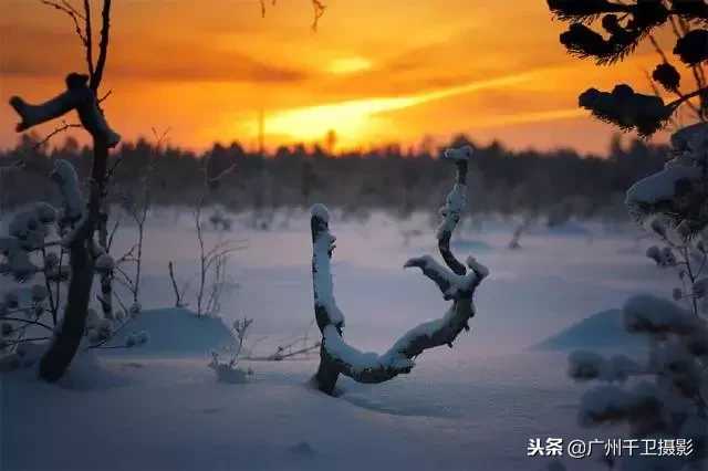 单反广角和长焦的区别解析（长焦与广角的区别）-第20张图片